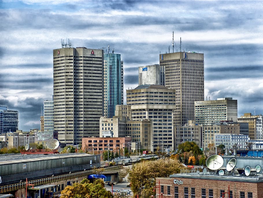 Why Hiring Professional Painters in Winnipeg Is Worth It